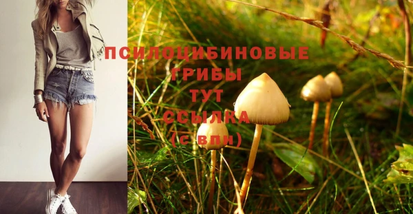 мяу мяу мука Балабаново