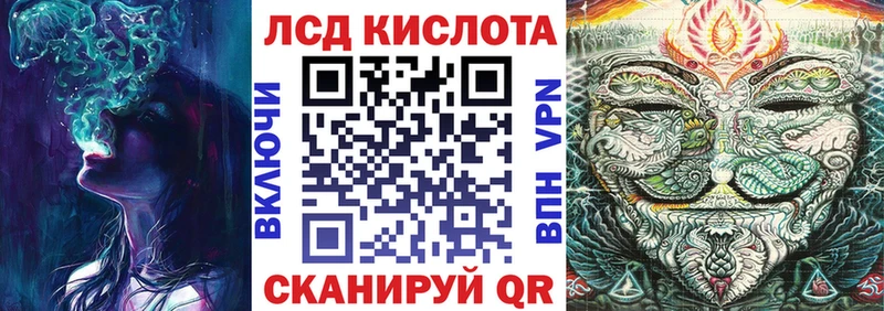 Марки N-bome 1,5мг  блэк спрут маркетплейс  Сегежа  наркошоп 