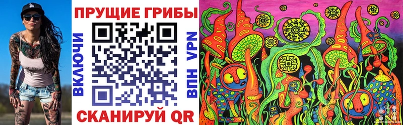 блэк спрут онион  Сегежа  Псилоцибиновые грибы мицелий 